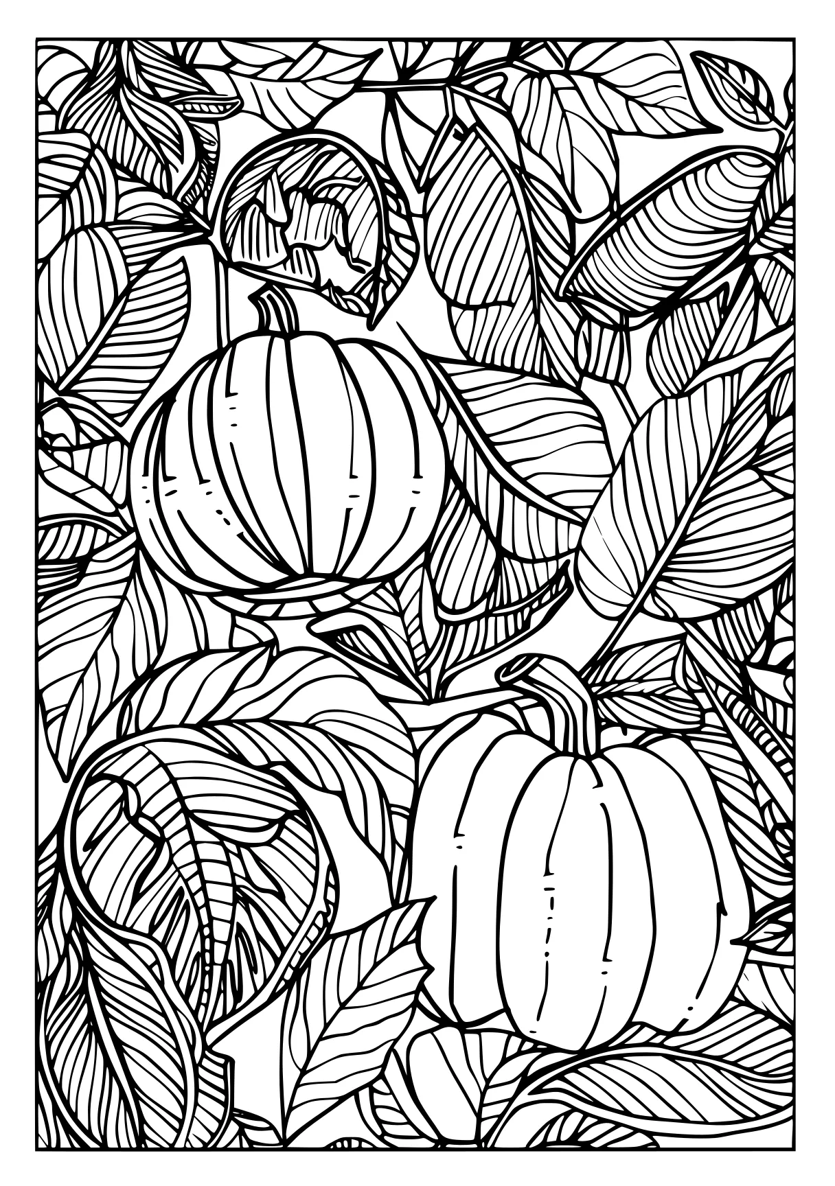 adult coloring books online, zentangle, acorn, fruits, free page downloads