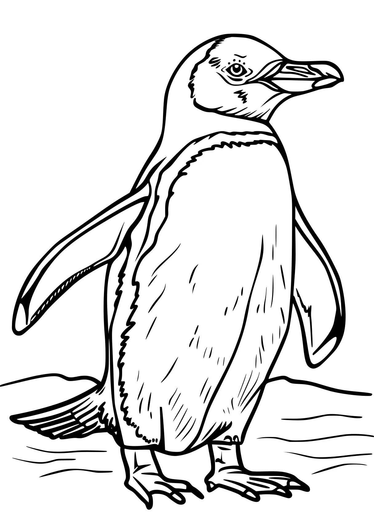 penguin coloring pages penguin, otter, narwhal, adult, duck, free page downloads