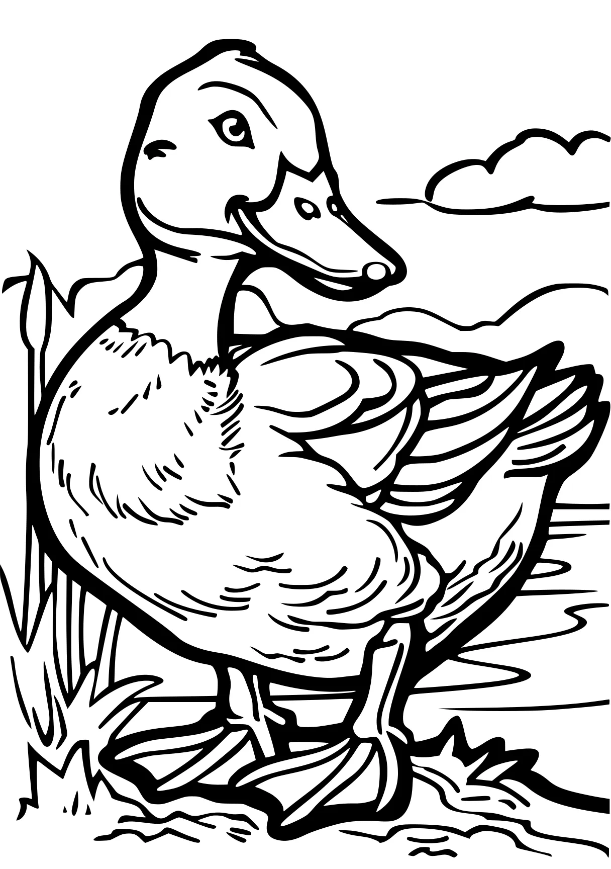 duck coloring pages duck, bird, donald, free page downloads