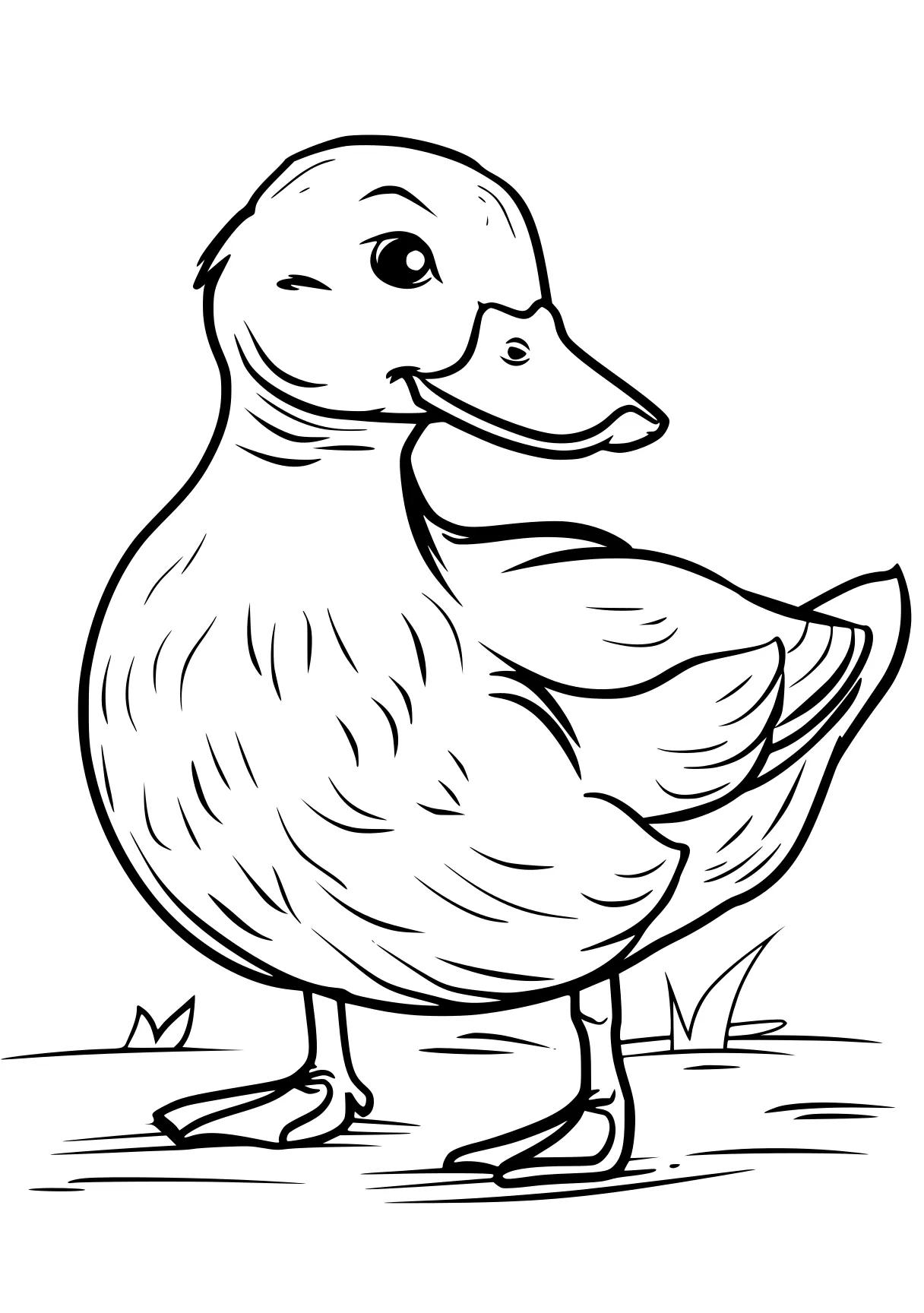 duck coloring pages duck, bird, chick, donald, ock, free page downloads