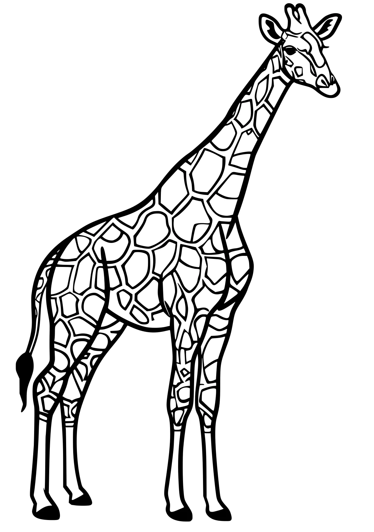 giraffe coloring giraffe, brachiosaurus, llama, camel, zebra, free page downloads