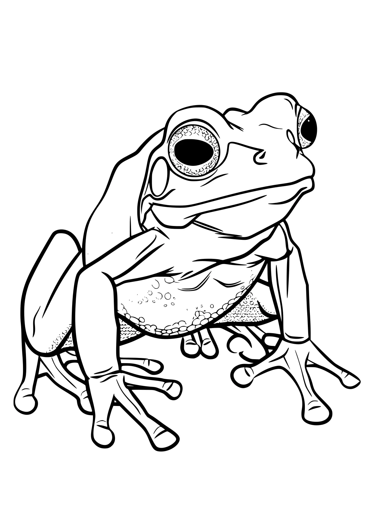 frog coloring sheet frog, toad, gecko, tayo, madagascar, free page downloads