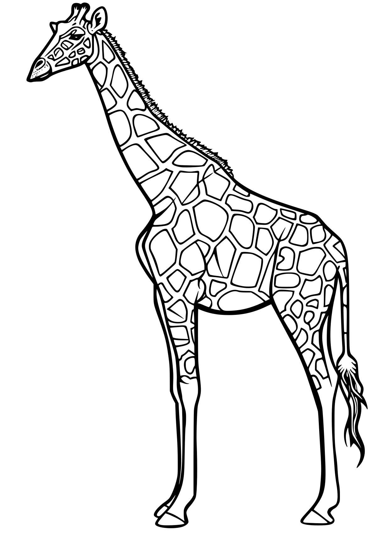 giraffe coloring pages giraffe, brachiosaurus, llama, camel, deer, free page downloads