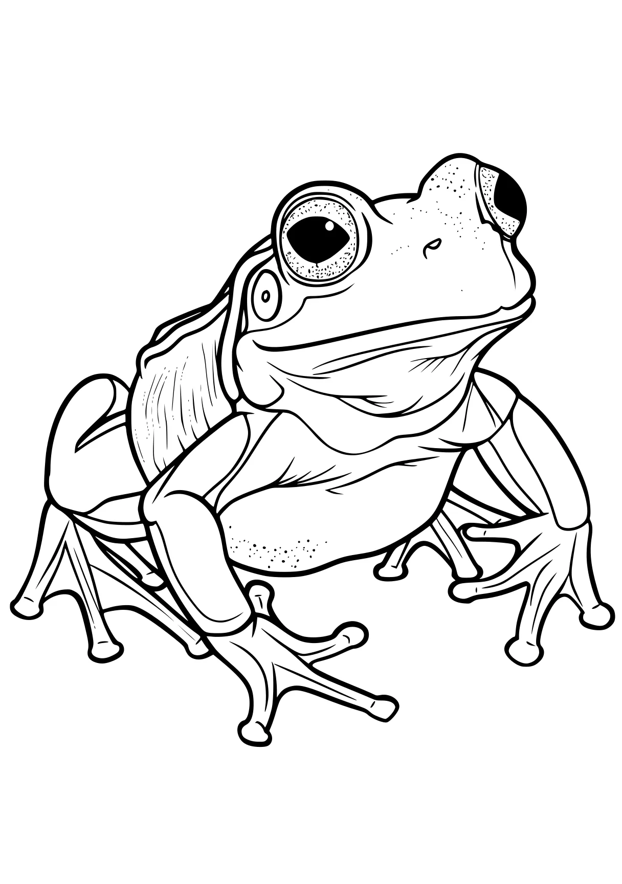 frog coloring sheet frog, toad, crab, pet, tayo, free page downloads