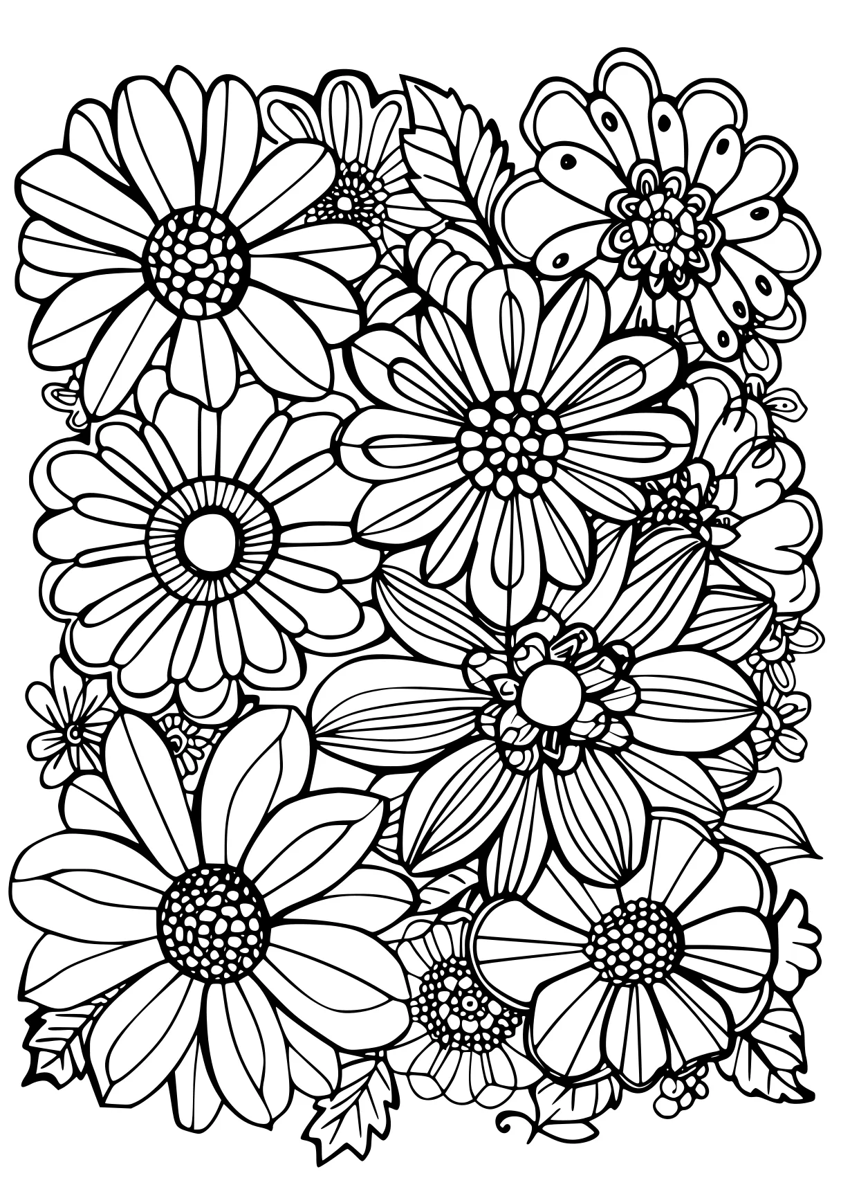 free printable adult coloring pages, zentangle, mandalas, flowers, page downloads