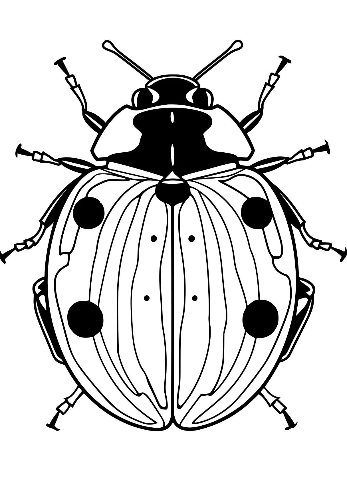 ladybug coloring sheets insect, insects, size, bee, adult, free page downloads