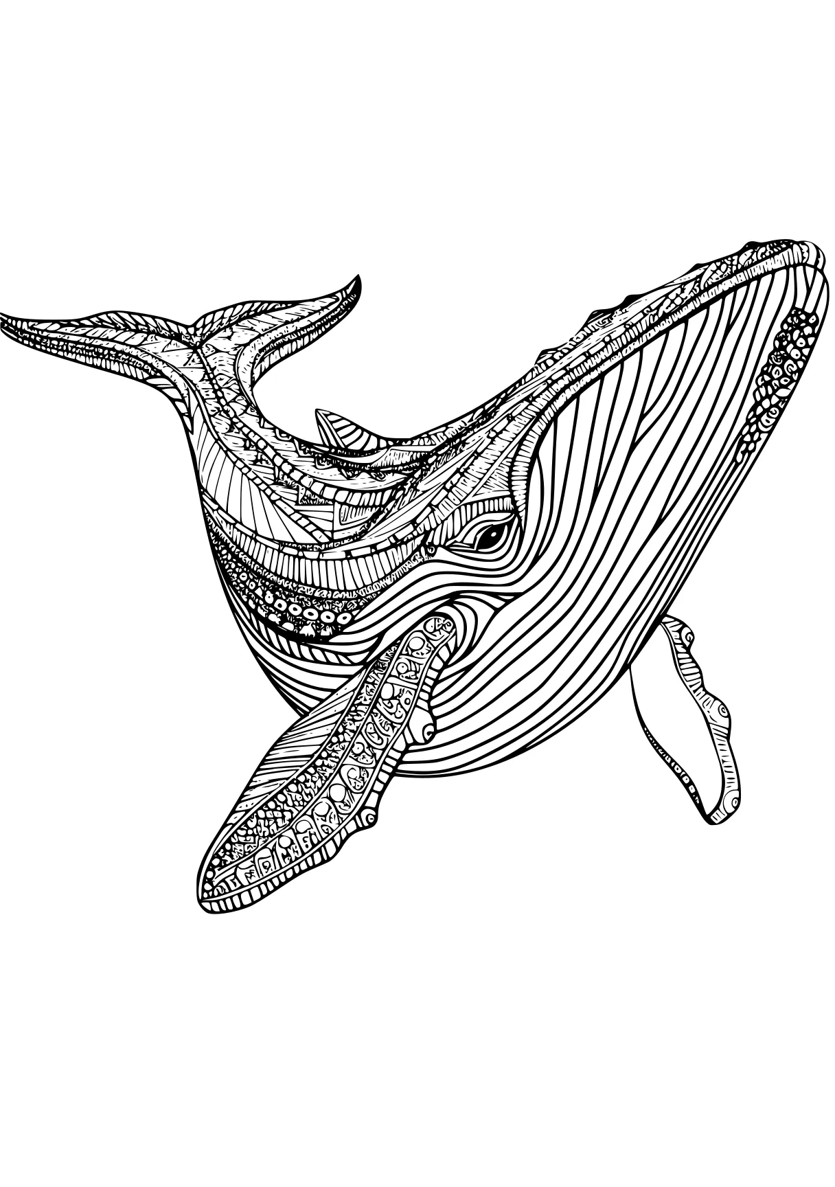 whale coloring page mosasaurus, megalodon, head, whale, spinosaurus, free downloads