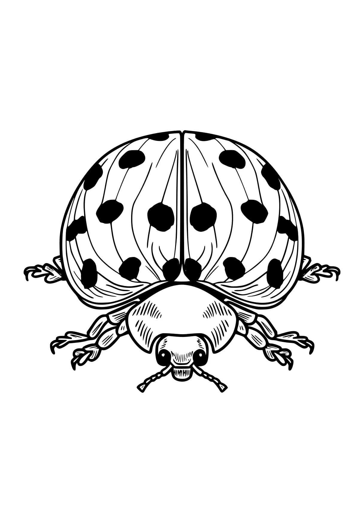 ladybug coloring page ladybug, turtle, dot, ankylosaurus, bee, free downloads