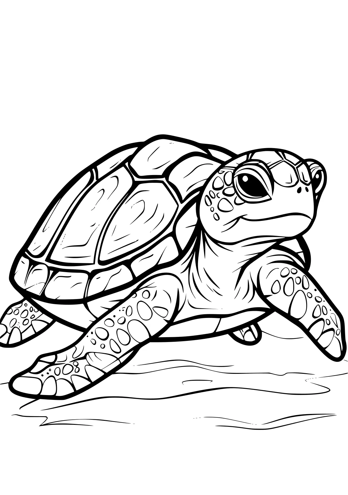 turtle coloring sheet turtle, turtles, squirtle, blastoise, illustrator, free page downloads