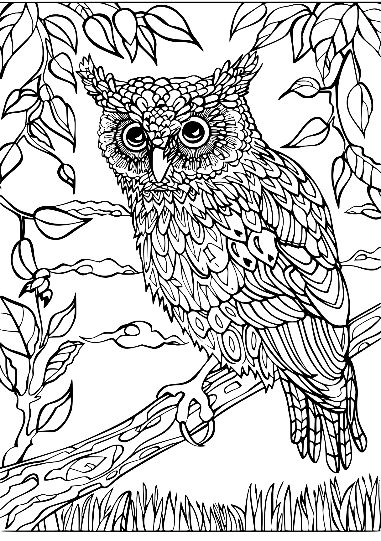 number coloring pages owl, zentangle, colouring, free page downloads