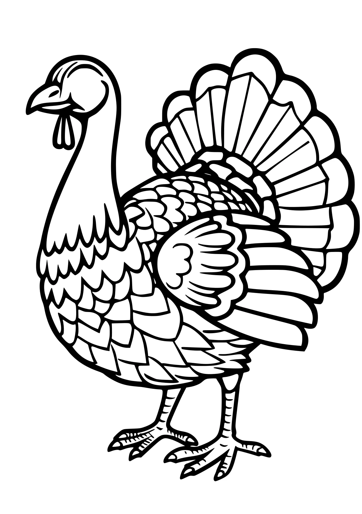 turkey pictures to color rooster, turkey, thanksgiving, free coloring page downloads