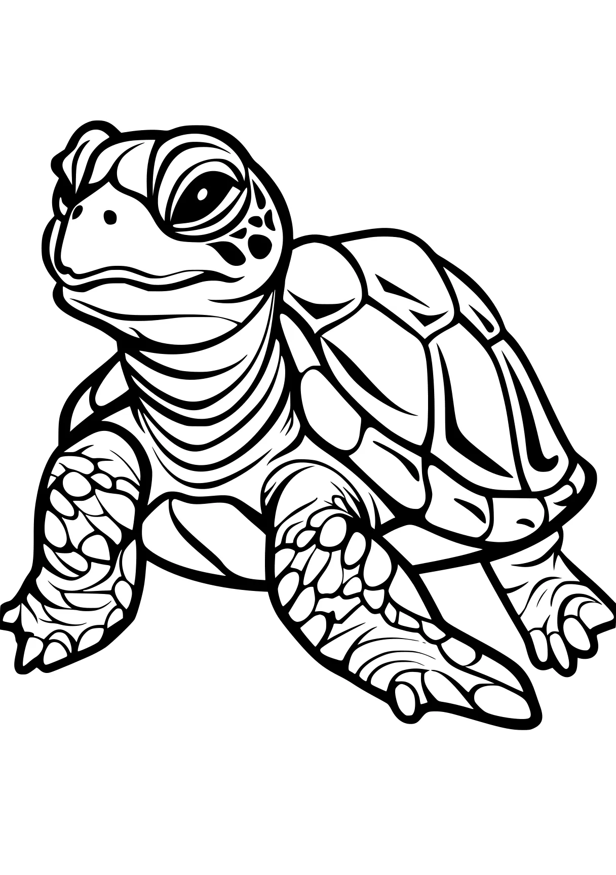 turtle coloring pages turtle, turtles, squirtle, illustrator, free page downloads