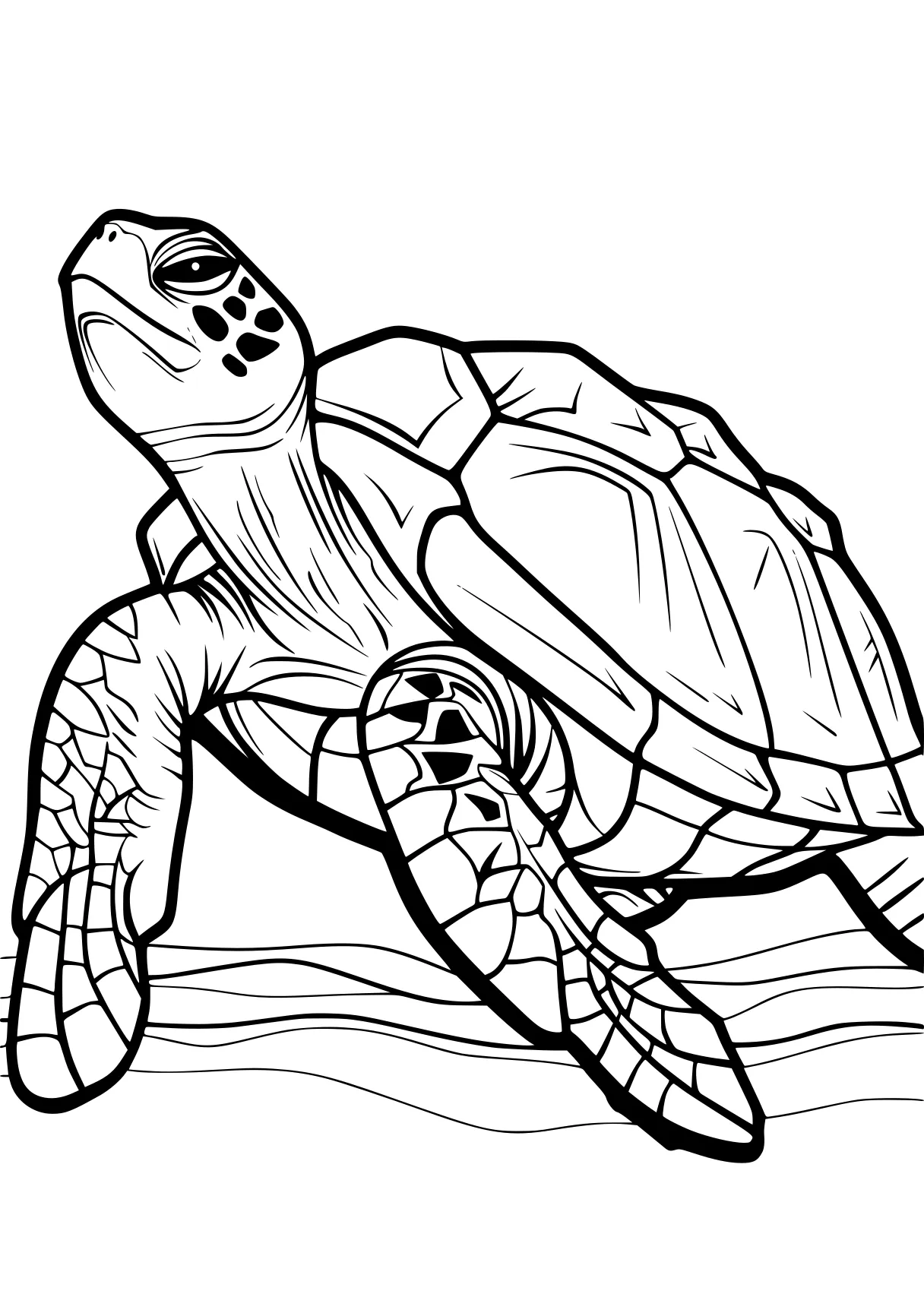 turtle coloring pages turtle, turtles, illustrator, squirtle, free page downloads