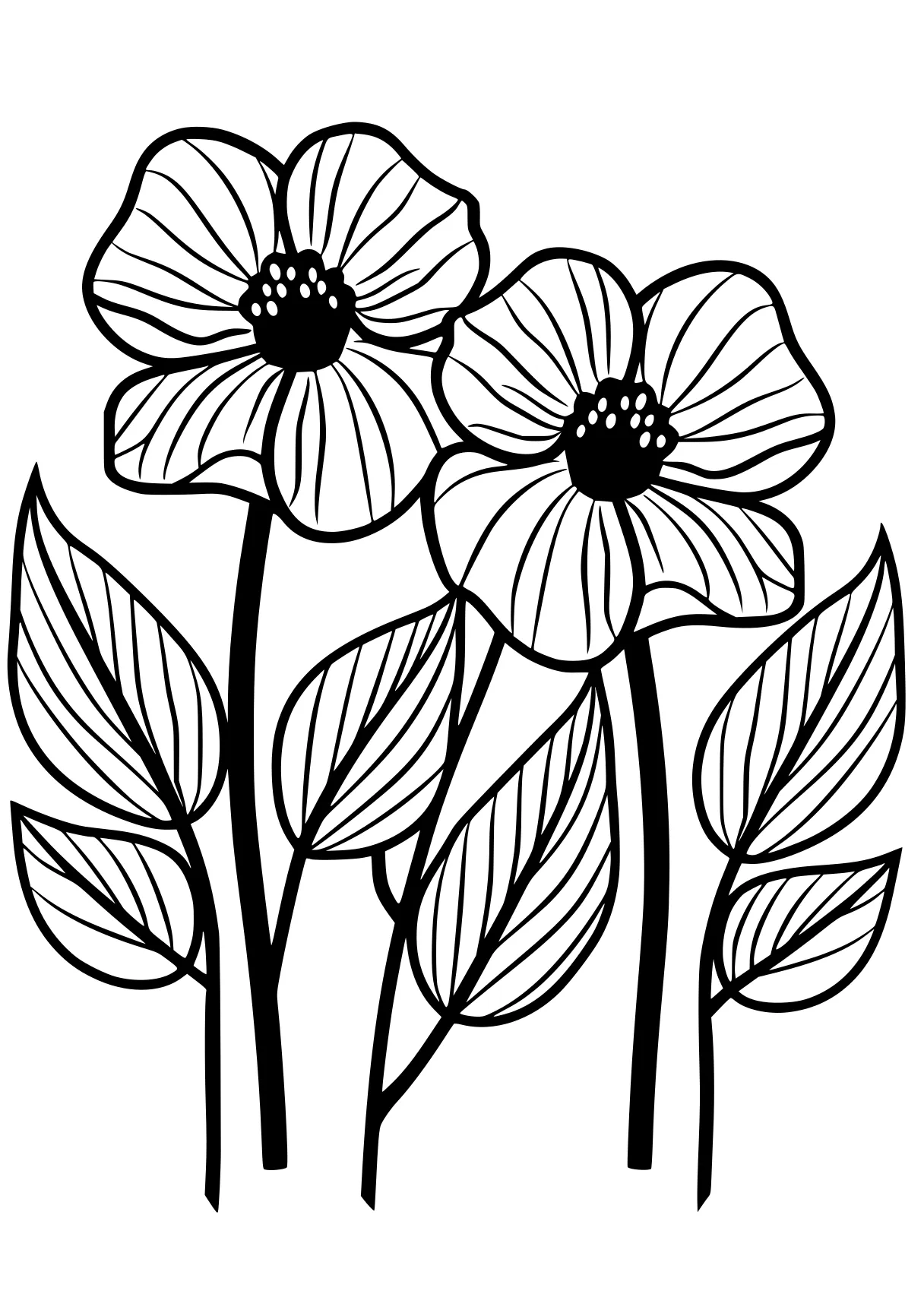 printable flower coloring pages flowers, poppy, flower, free page downloads