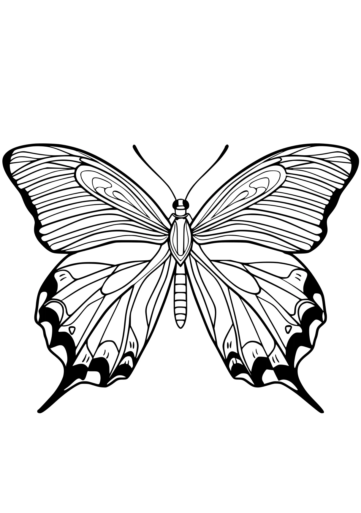 butterfly coloring butterfly, insect, adult, butterflies, size, free page downloads