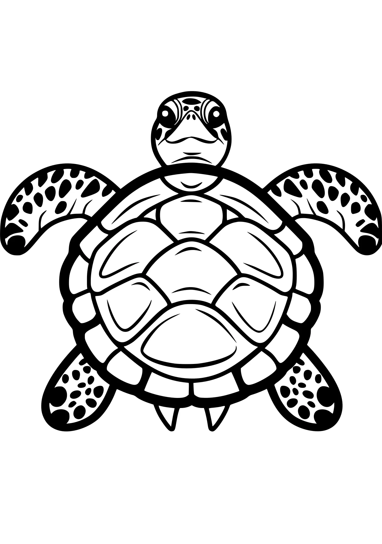 turtle coloring sheet turtle, turtles, squirtle, tanjiro, size, free page downloads