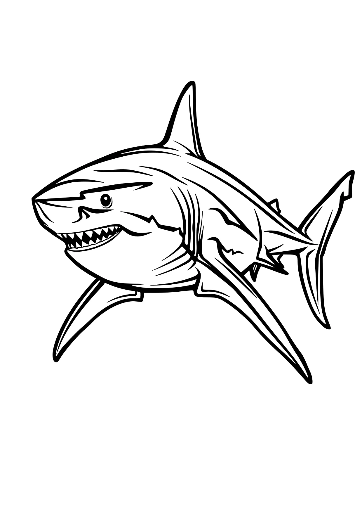 shark coloring sheet megalodon, shark, sharks, fish, illustrator, free page downloads