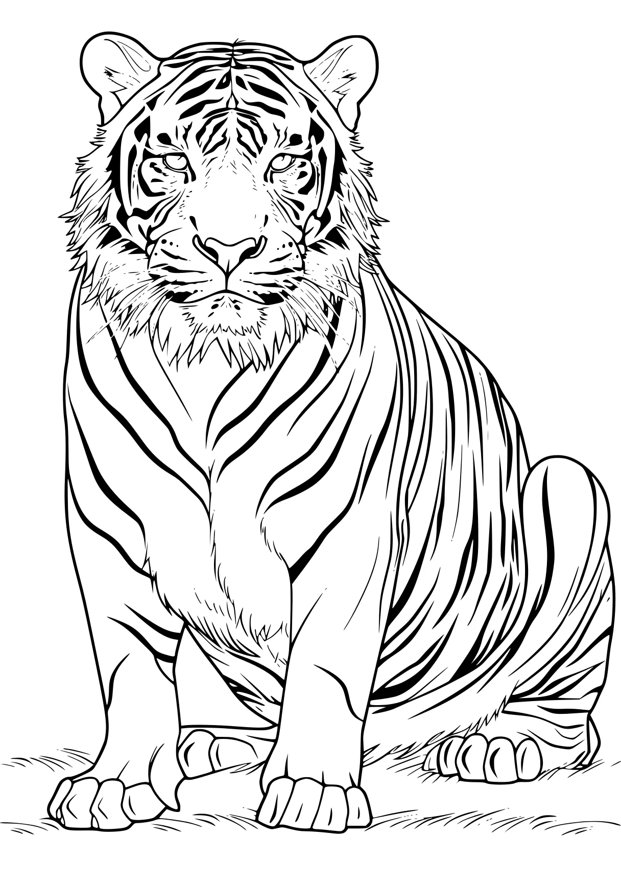 tiger coloring page tiger, zebra, illustrator, free downloads