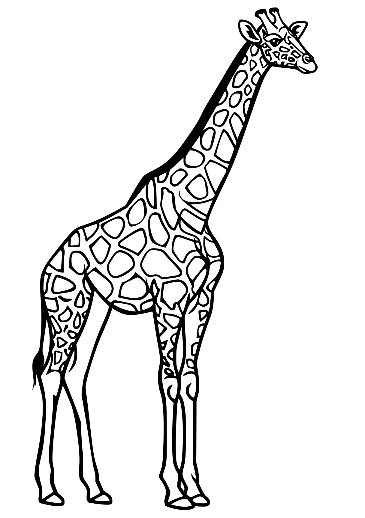 giraffe coloring giraffe, brachiosaurus, llama, camel, deer, free page downloads