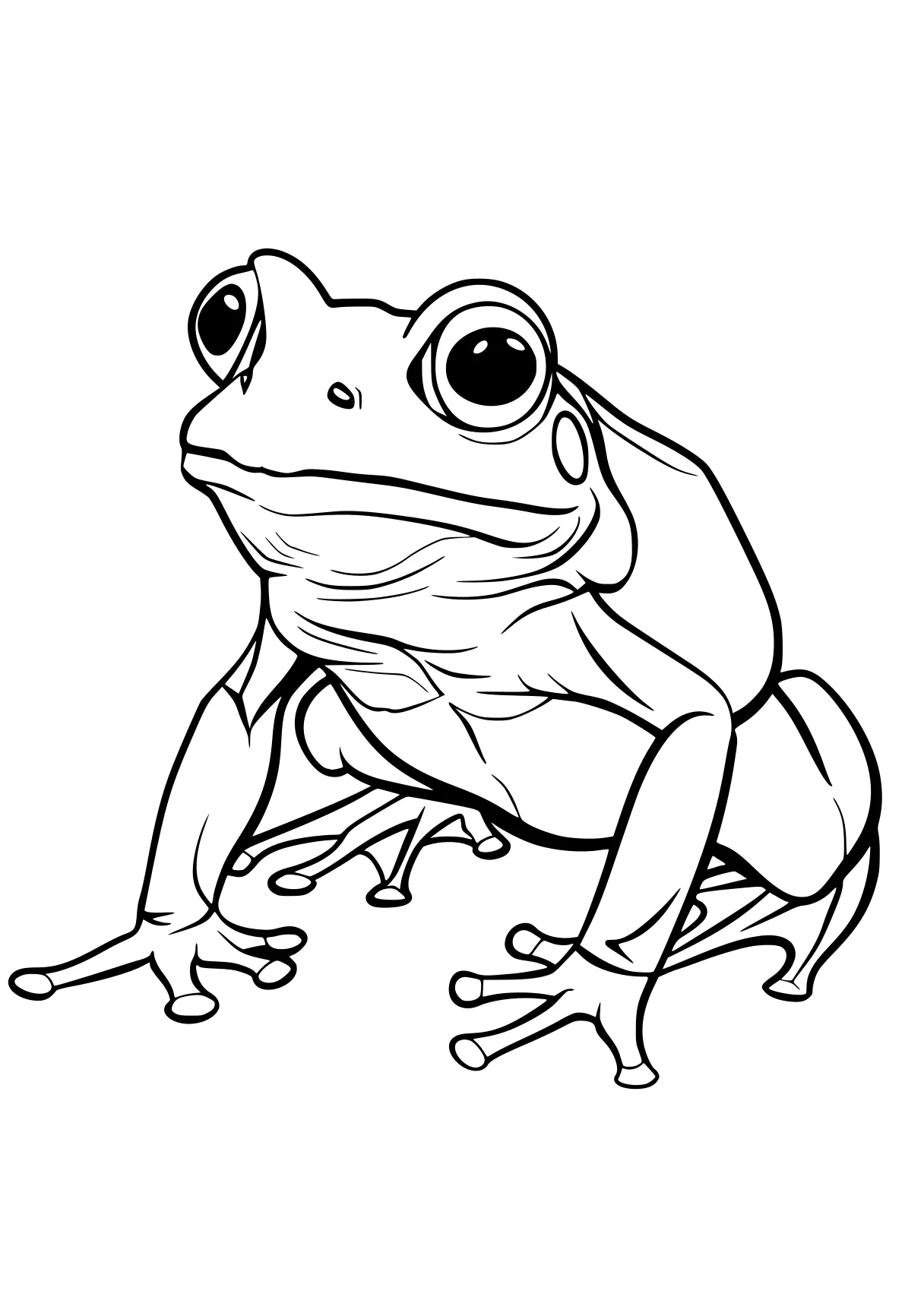 frog coloring sheet frog, toad, gecko, pet, wall, free page downloads