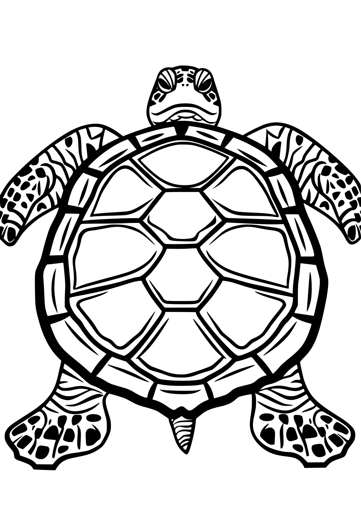 turtle coloring sheet turtle, turtles, mandala, ankylosaurus, size, free page downloads