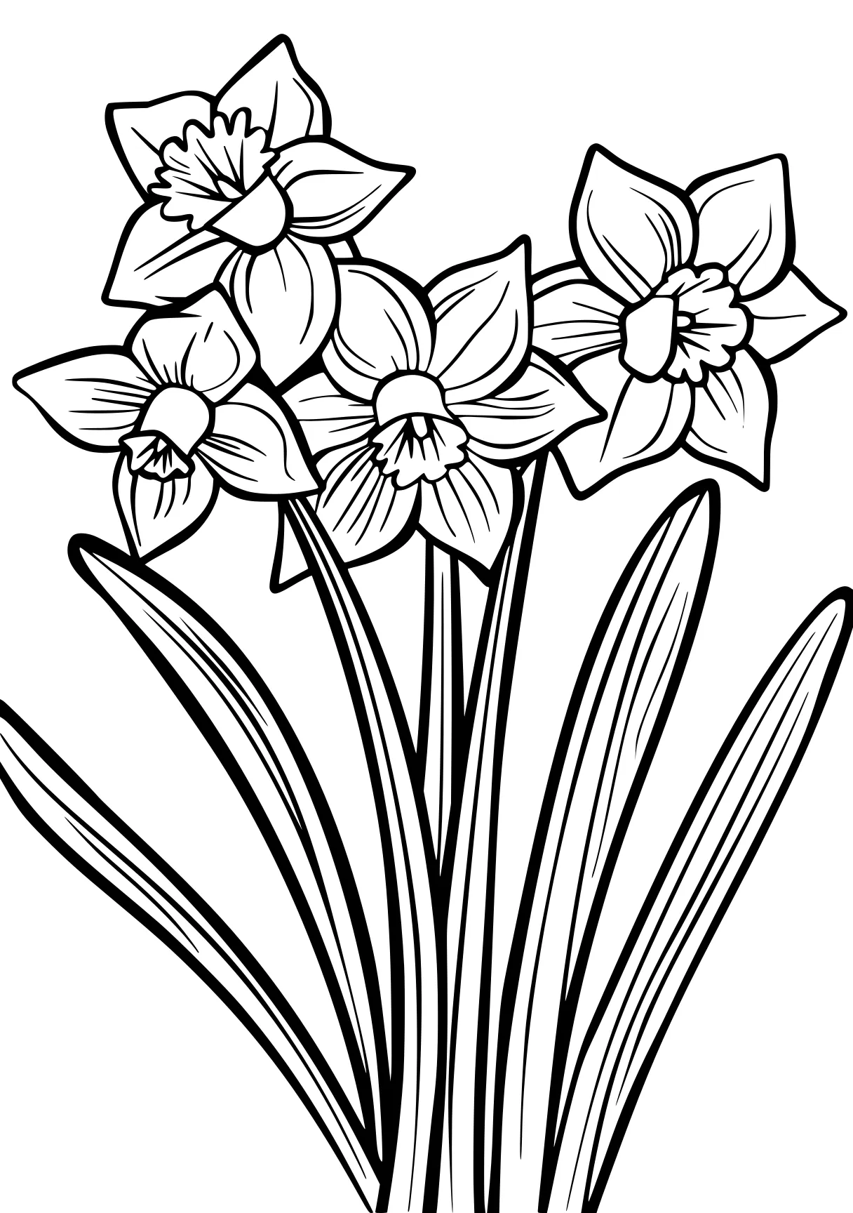 free printable pictures tulip, flowers, flower, coloring page downloads