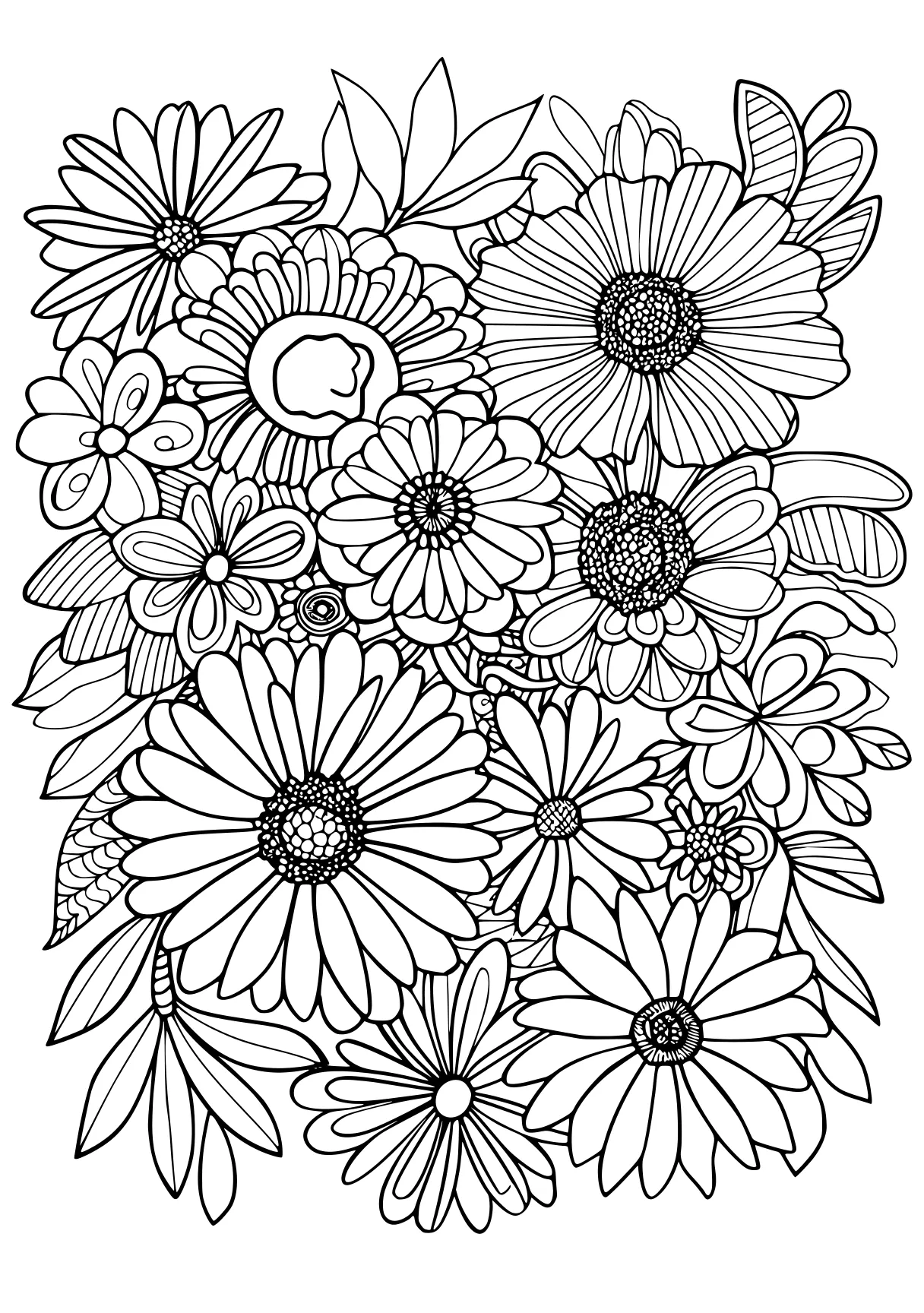 coloring pictures, zentangle, colouring, sunflower, free page downloads