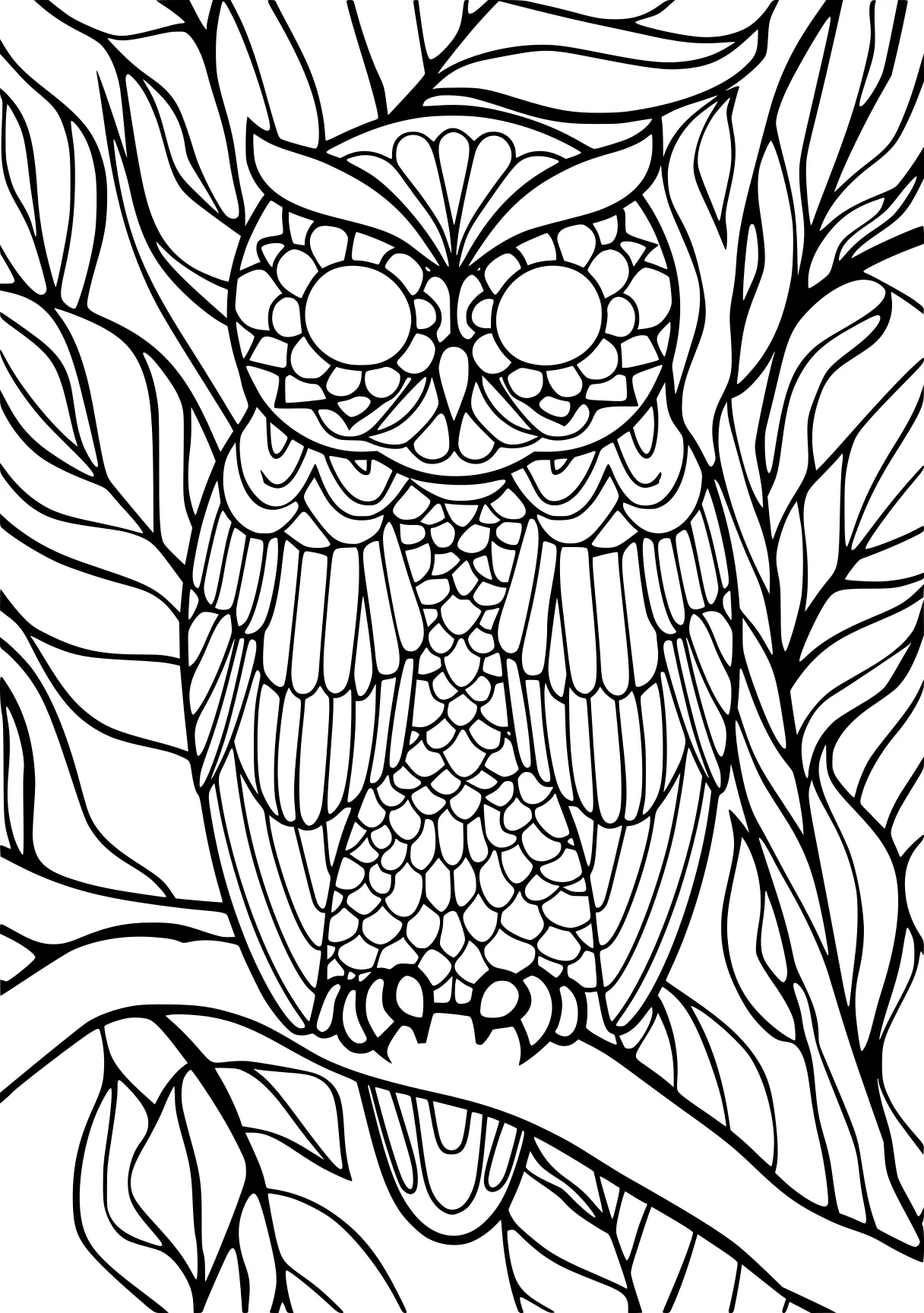 coloring sheets to print owl, colouring, zentangle, free page downloads