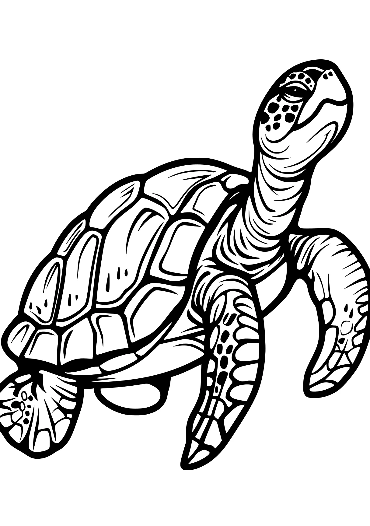 turtle coloring pages turtle, ankylosaurus, turtles, biollante, free page downloads