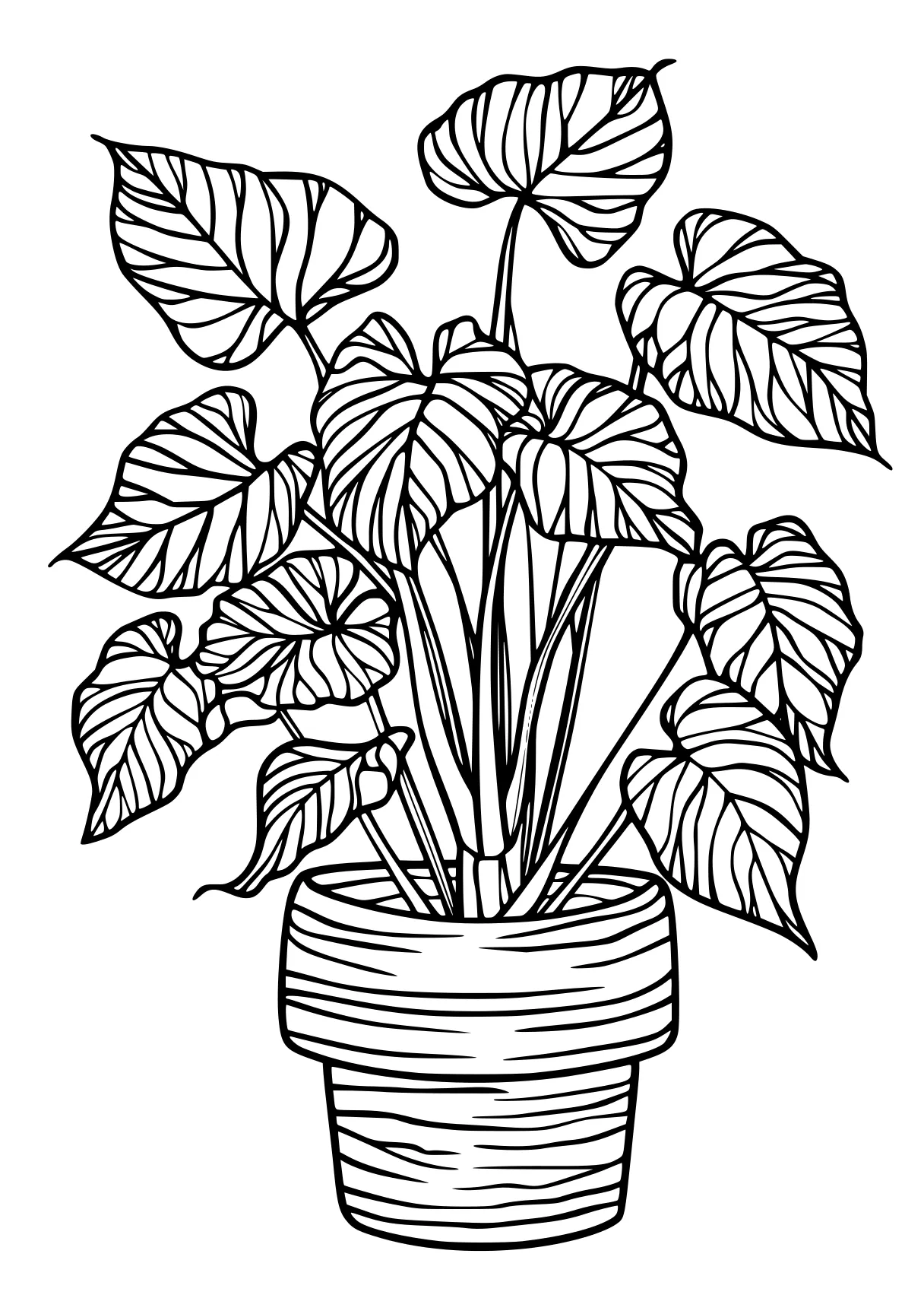 plant coloring pages plant, plants, vegetable, free page downloads