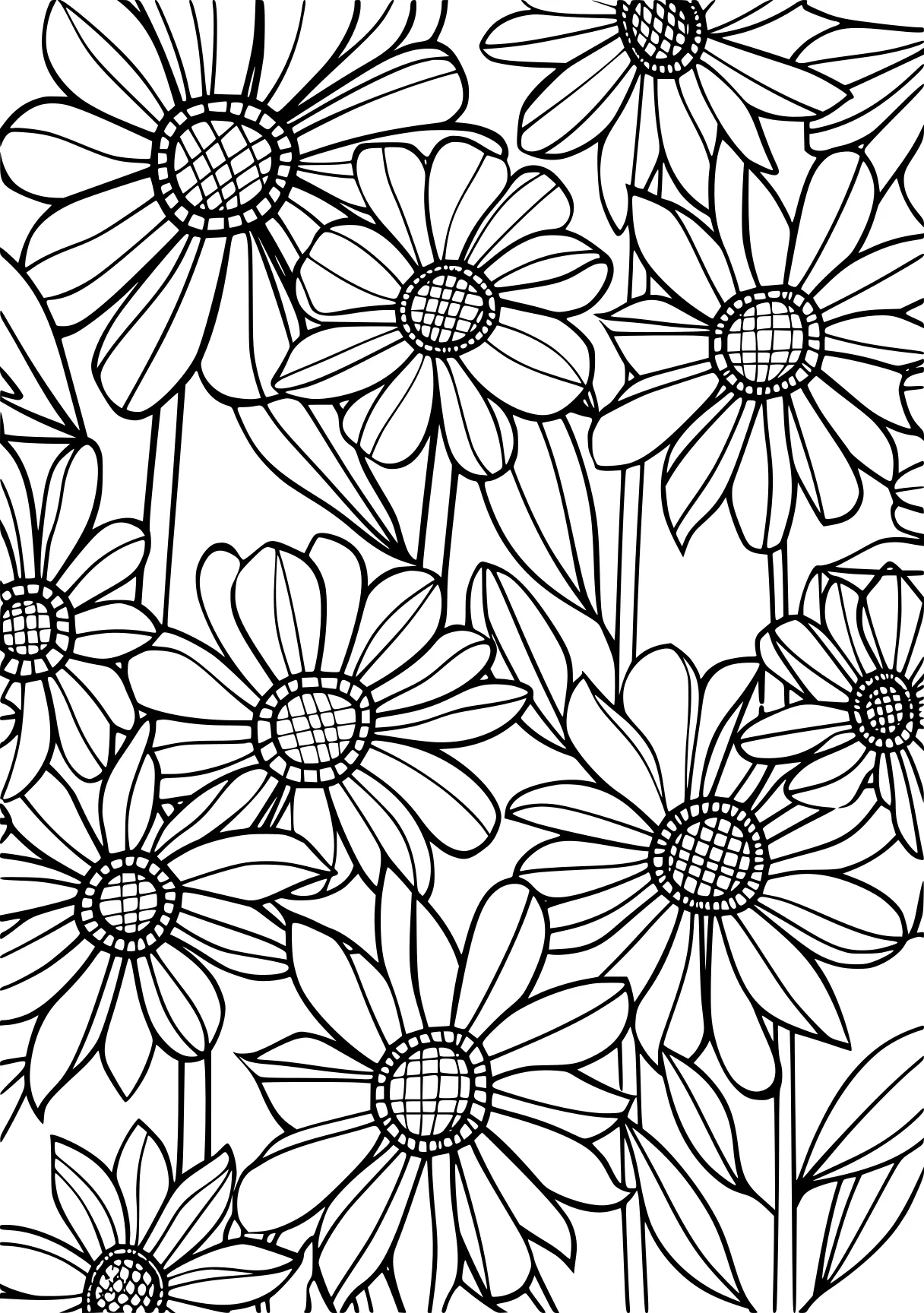 coloring pages printable adult, zentangle, pattern, colouring, free page downloads