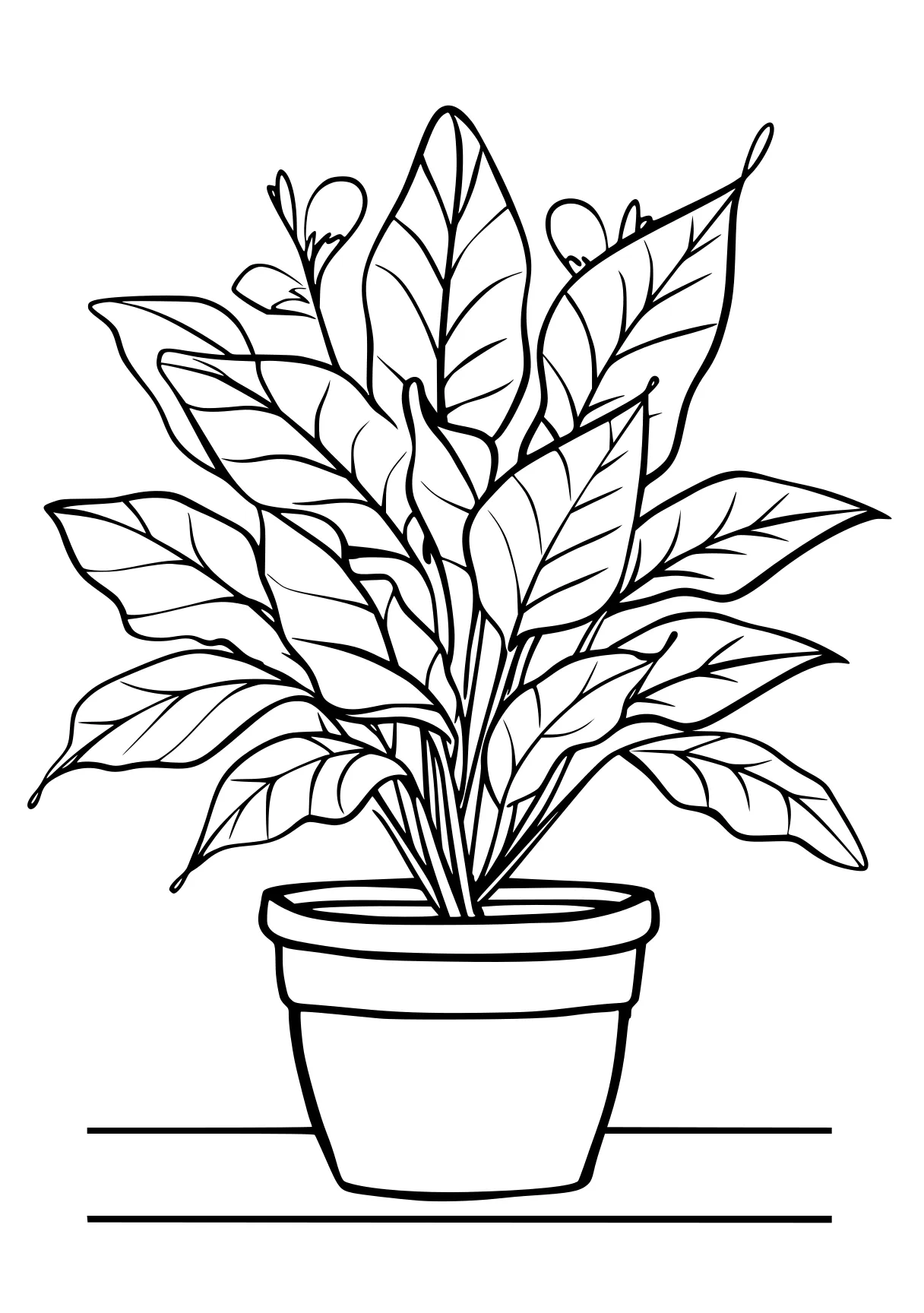 plant coloring pages plant, plants, palm, free page downloads