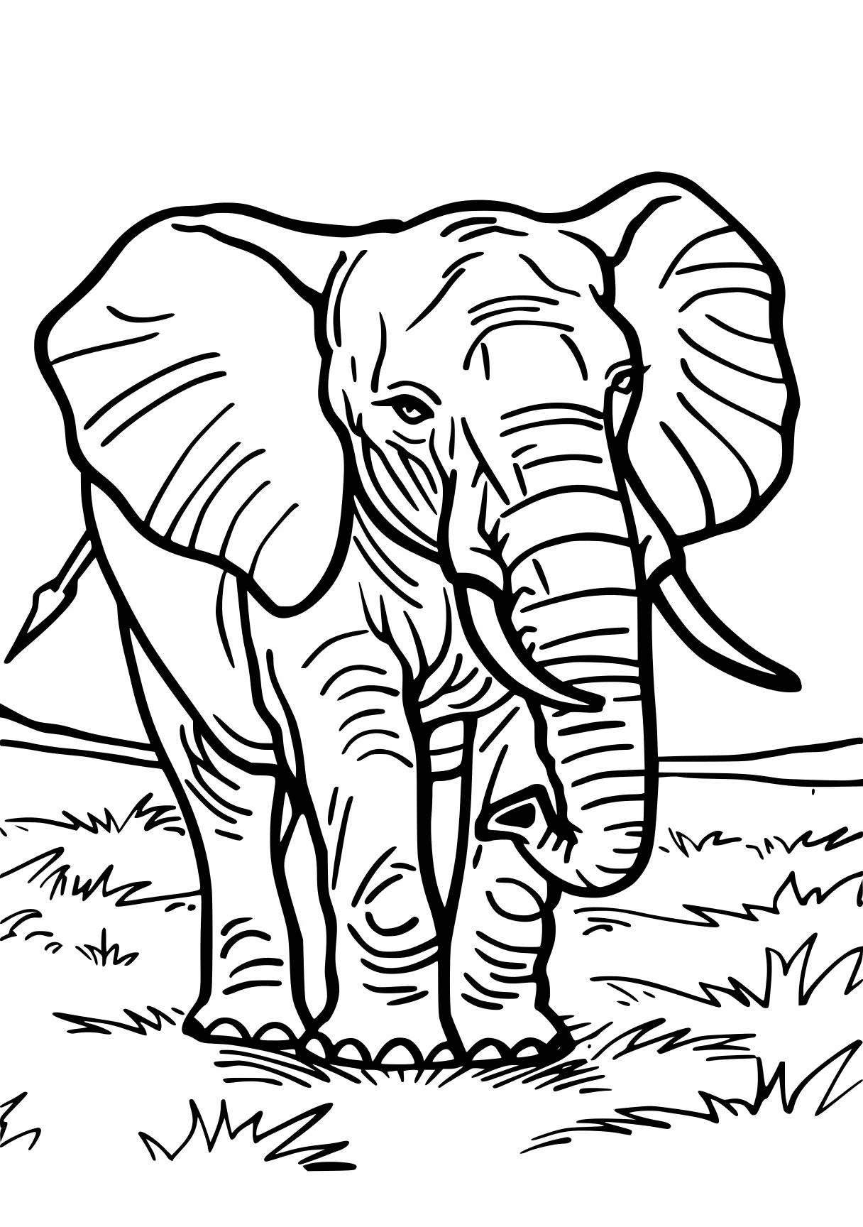 elephant coloring page elephant, safari, dumbo, illustrator, size, free downloads