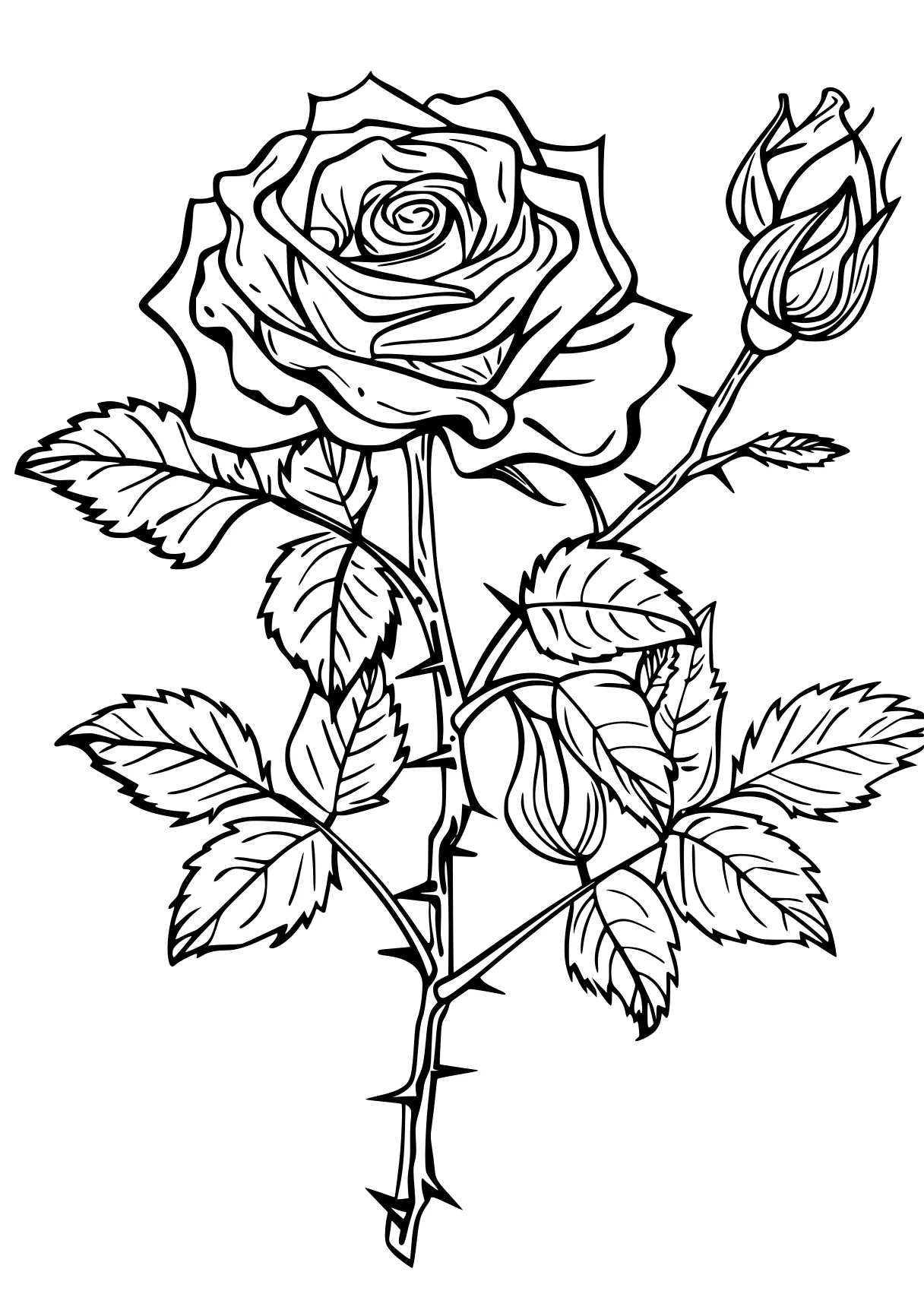 rose coloring pages rosa, rose, design, free page downloads