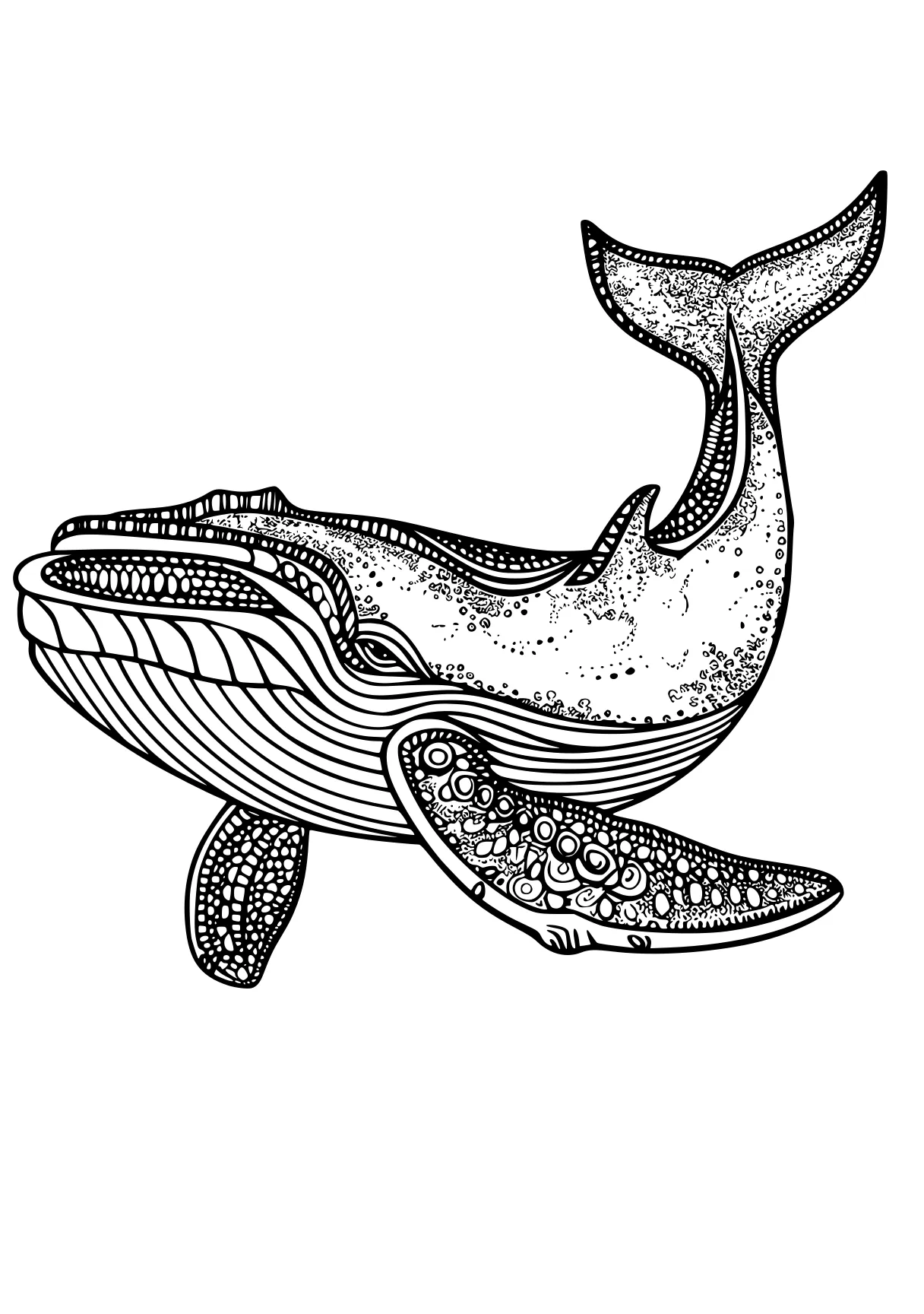 whale coloring page mosasaurus, whale, dolphin, whales, biollante, free downloads