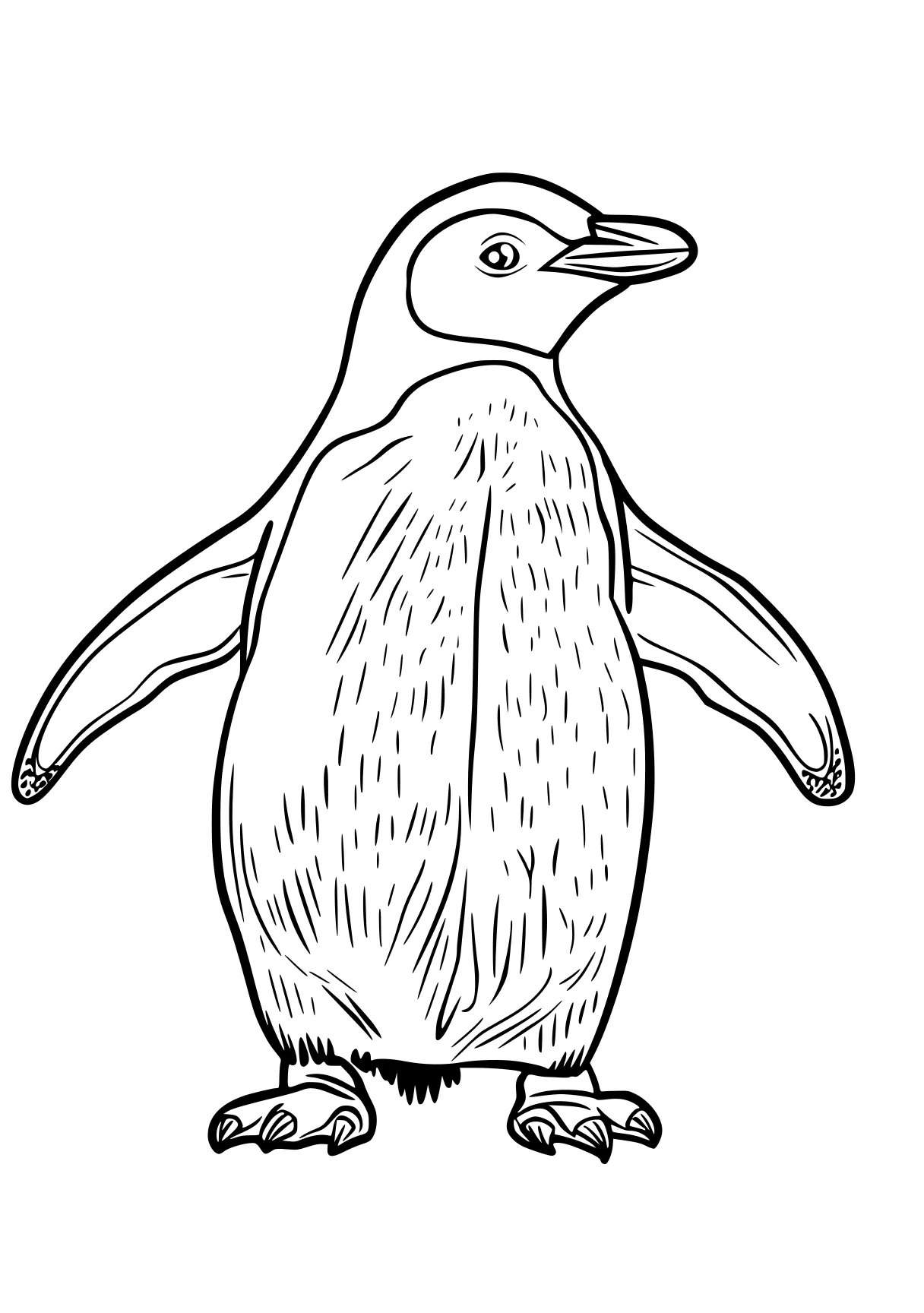 penguin coloring pages penguin, bird, toucan, adult, leg, free page downloads