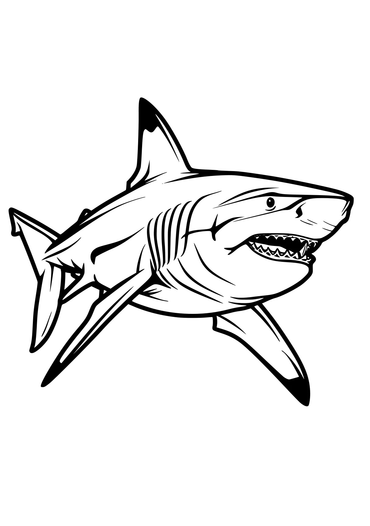 shark coloring sheet megalodon, shark, sharks, orca, fish, free page downloads