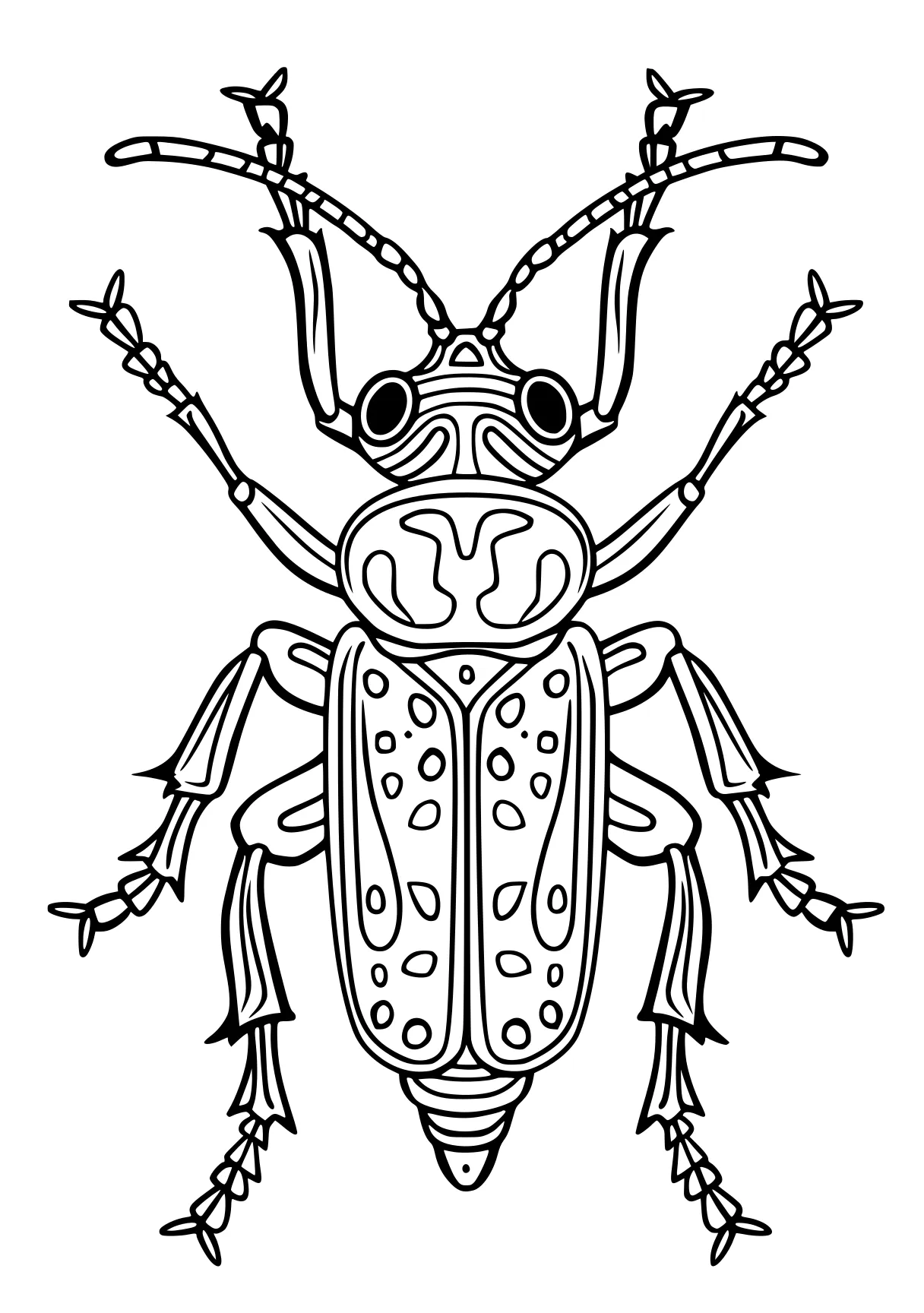 insect coloring pages insect, insects, bee, bugs, adult, free page downloads