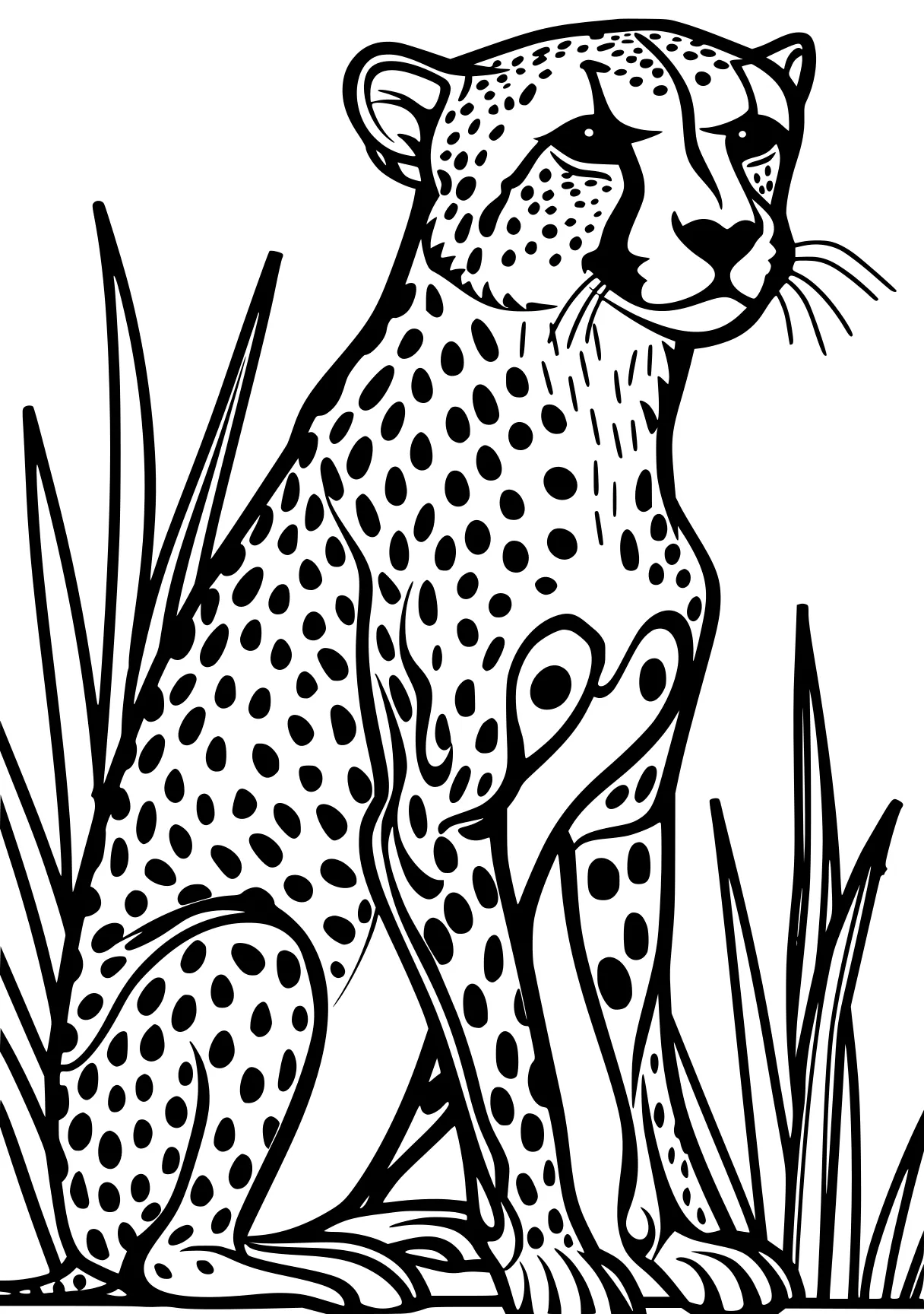 cheetah coloring page cheetah, leopard, jaguar, panther, safari, free downloads