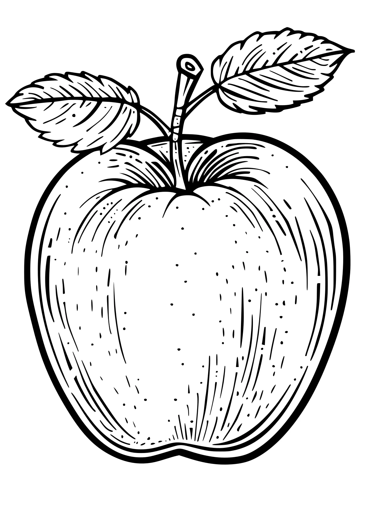 apple coloring sheet apple, vegetable, fruit, acorn, fruits, free page downloads