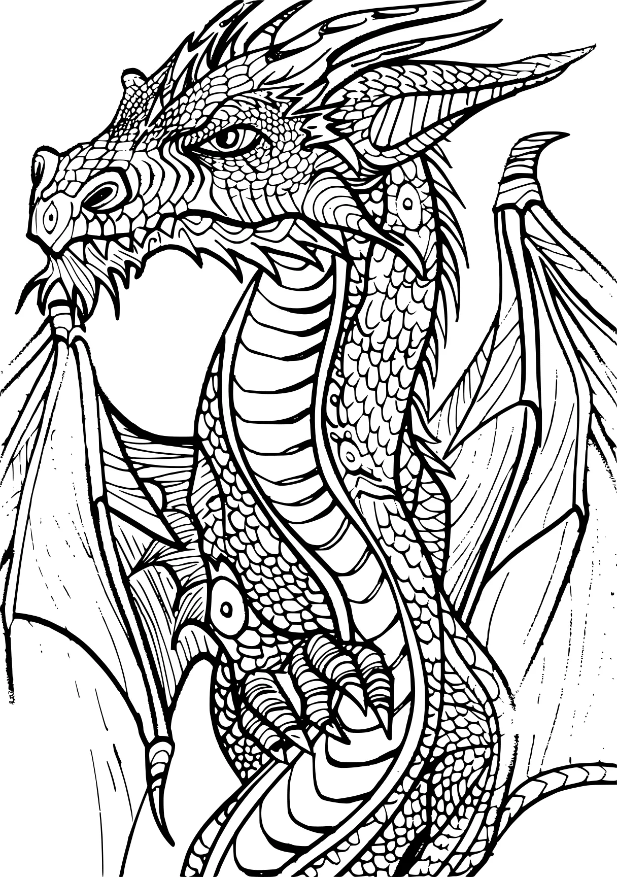 dragon coloring pages dragon, ghidorah, zentangle, free page downloads