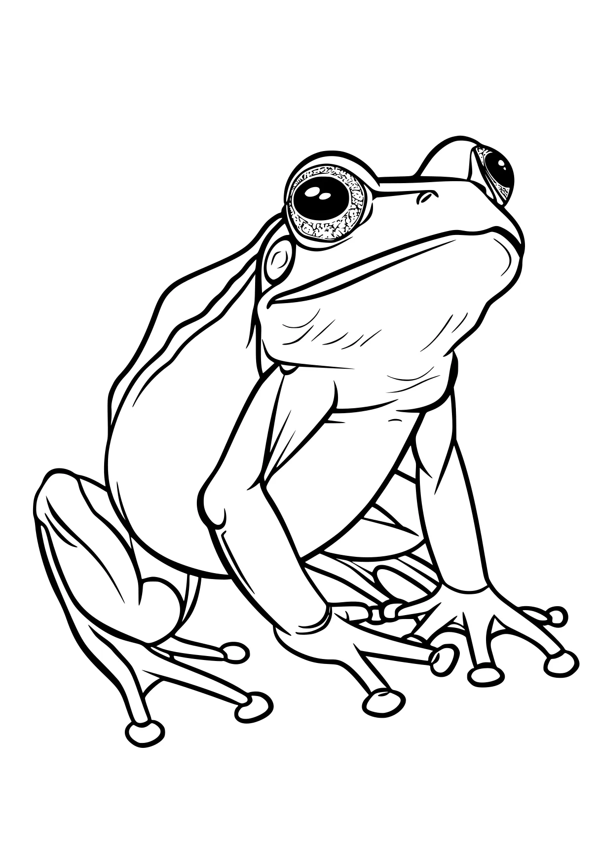 frog coloring pages frog, toad, pug, illustrator, leg, free page downloads