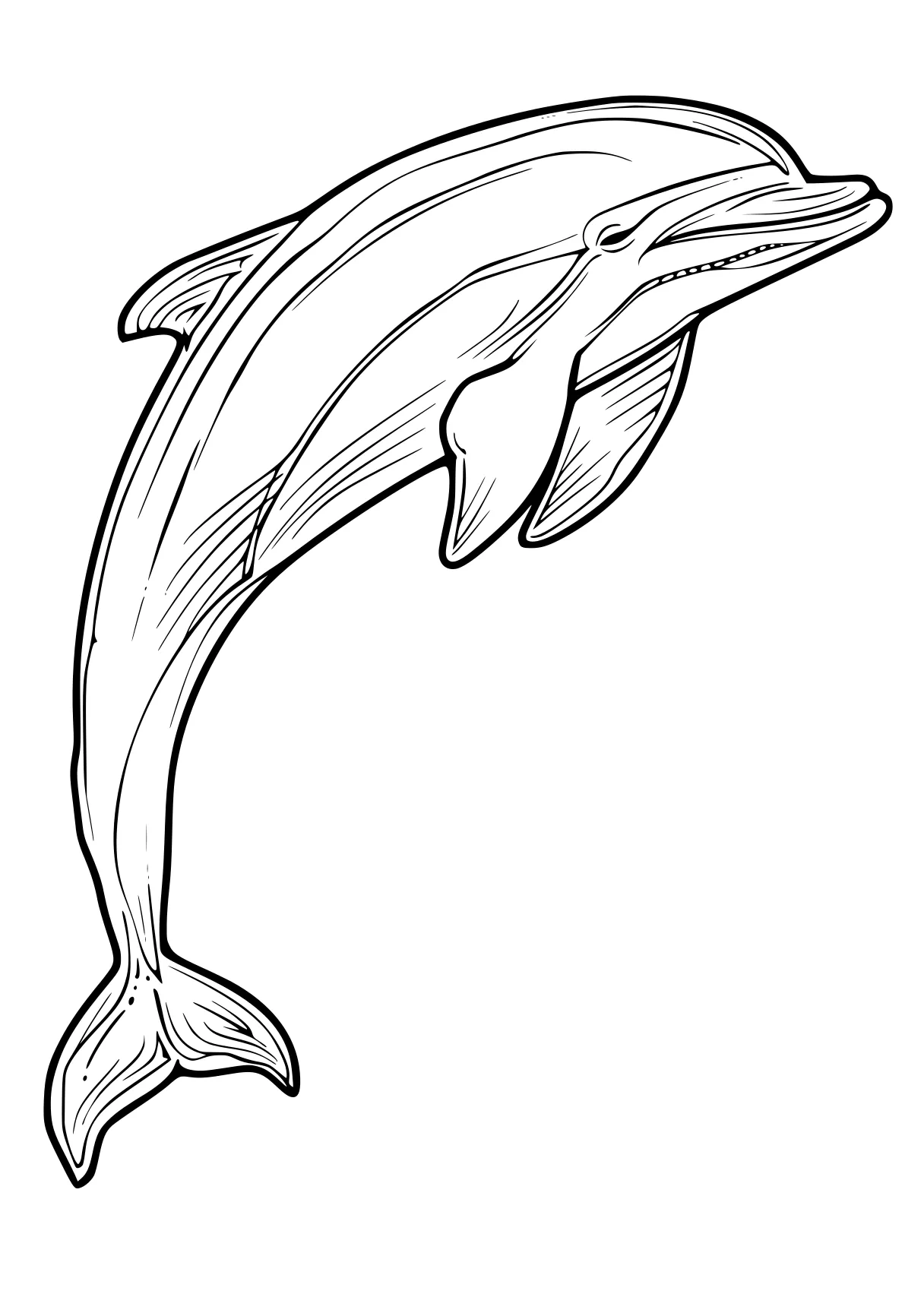 dolphin coloring pages whale, dolphin, whales, orca, megalodon, free page downloads