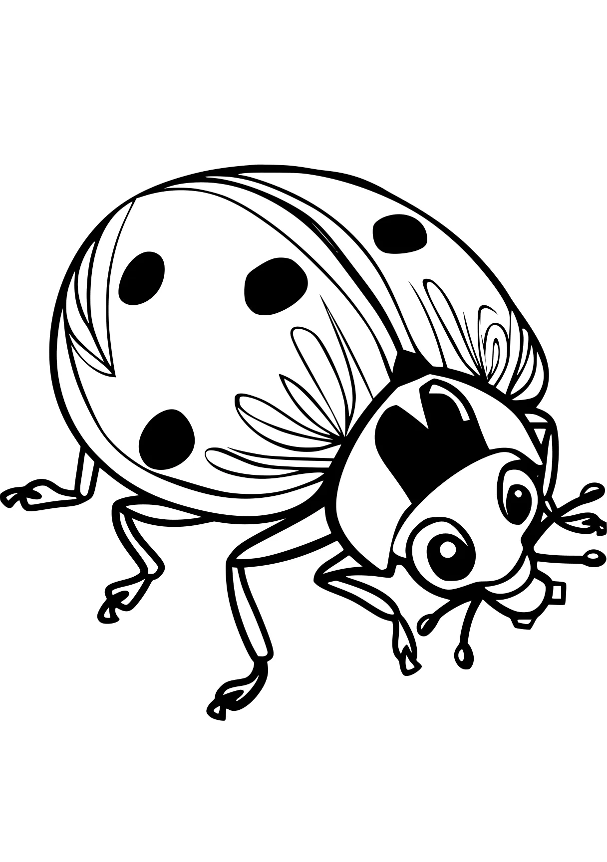 miraculous ladybug coloring page ladybug, insect, insects, bugs, bee, free downloads