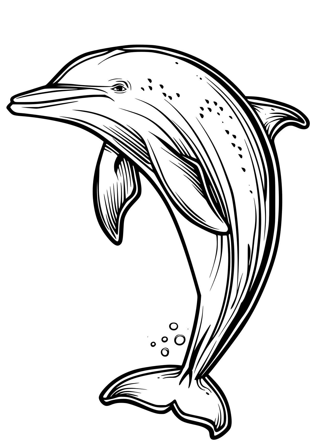 dolphin coloring pages dolphin, whale, whales, fish, narwhal, free page downloads