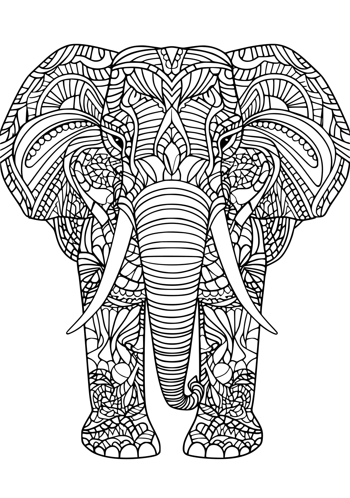 adult coloring pages printable elephant, dumbo, zentangle, free page downloads