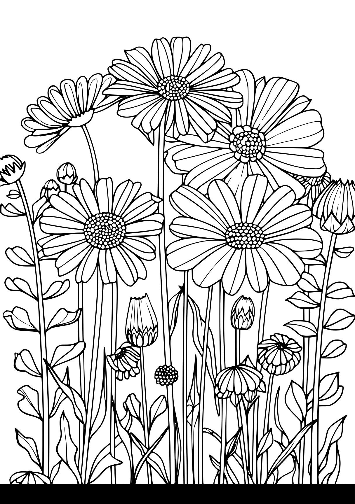 adult coloring book pages, zentangle, flowers, colouring, free page downloads