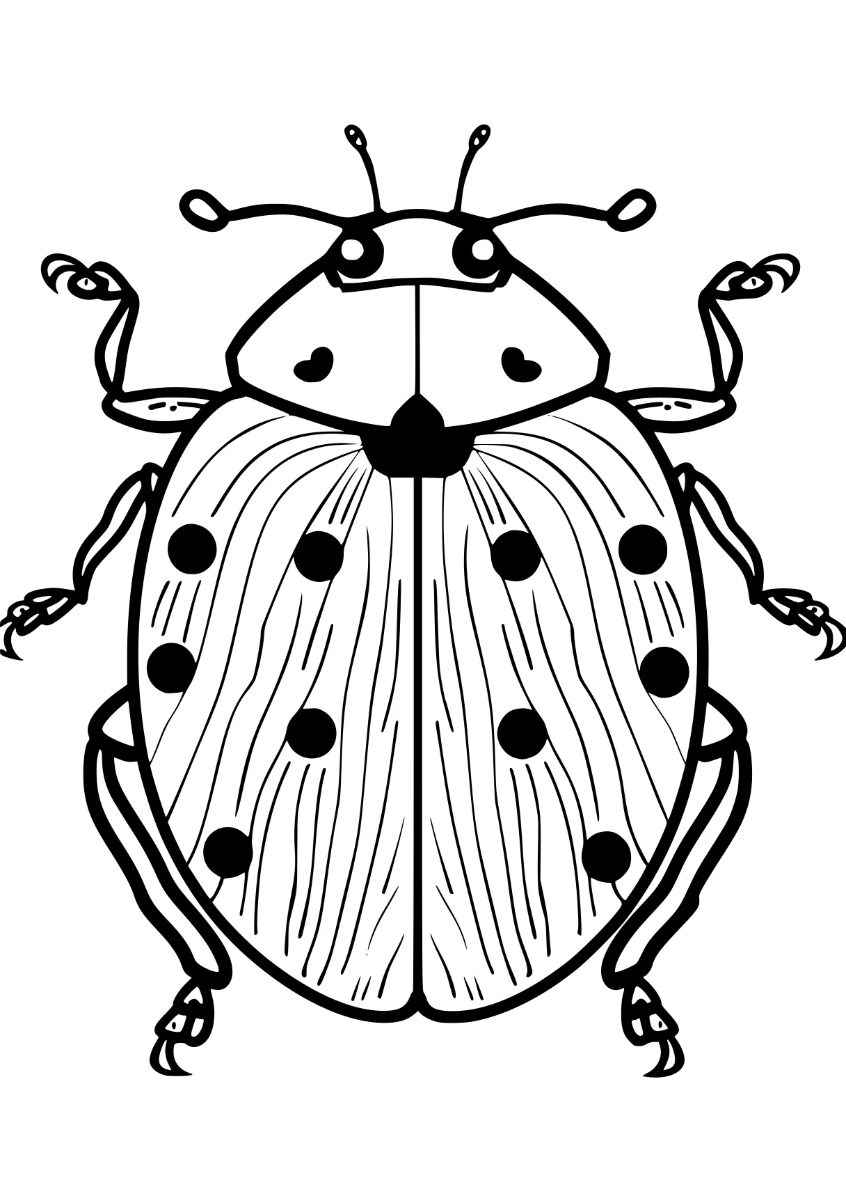 miraculous ladybug colouring pages insect, insects, bee, ladybug, size, free coloring page downloads