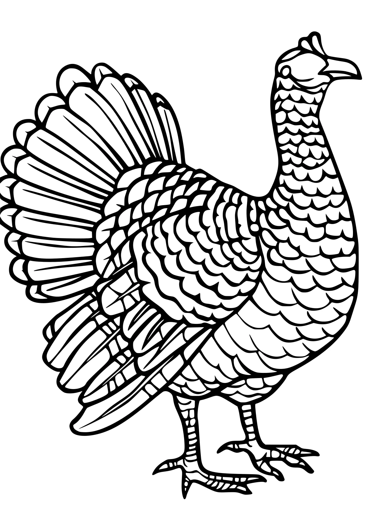 turkey pictures to color rooster, peacock, turkey, thanksgiving, free coloring page downloads