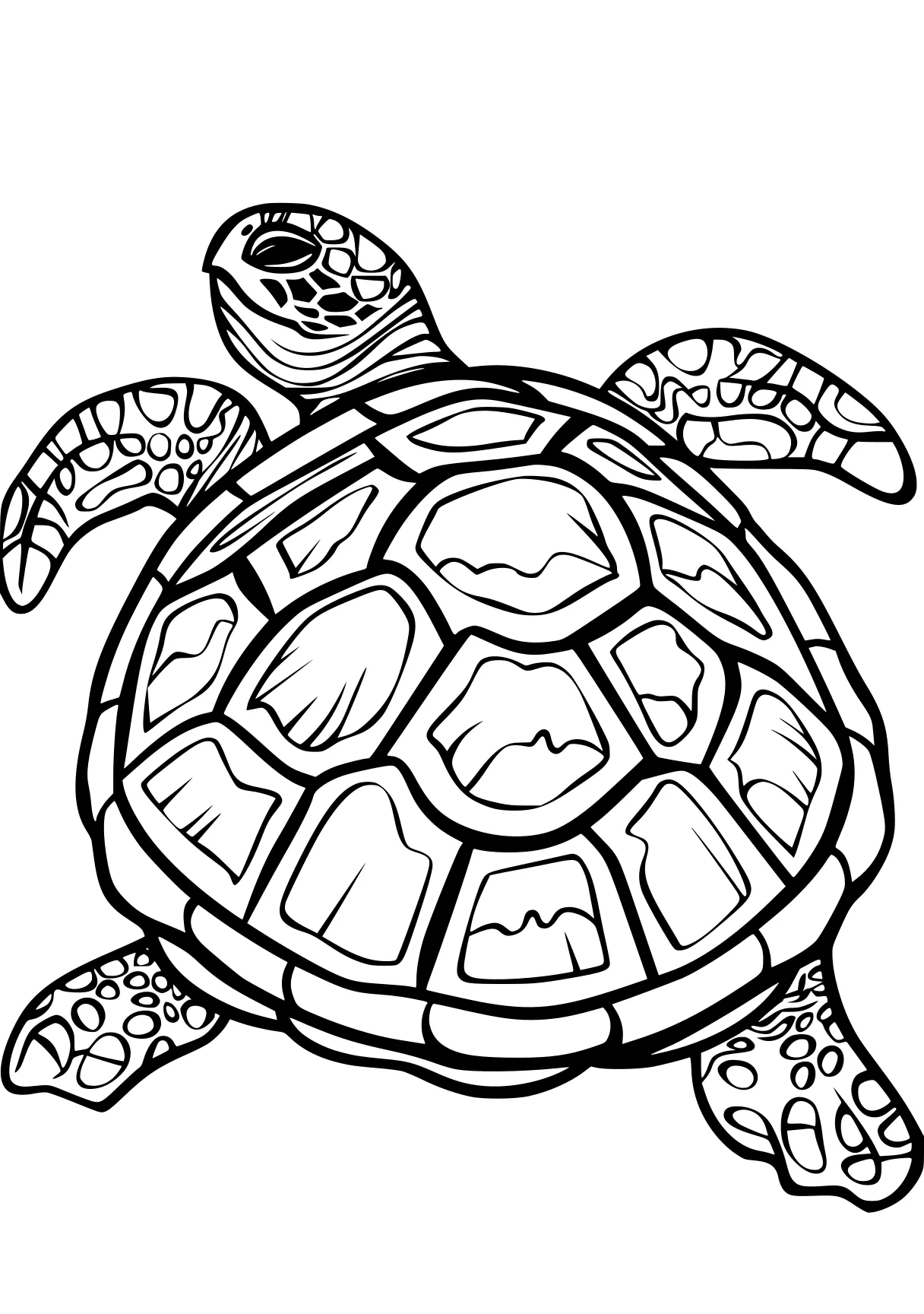 turtle pictures to color turtle, turtles, squirtle, blastoise, tmnt, free coloring page downloads